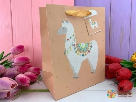 Pachet Cadou "llama" Piersică S