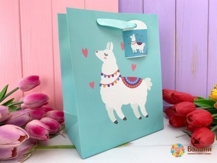 Pachet Cadou "llama" Albastru M