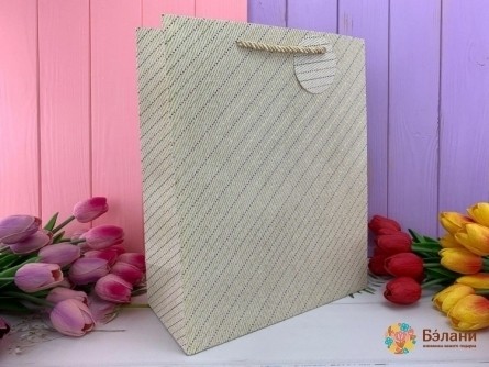 Geantă Cadou "neutral" Bej S