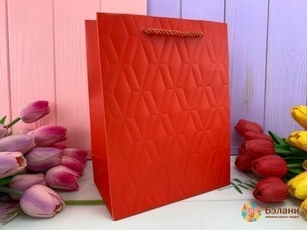 Geantă Cadou "cube" Roșu M