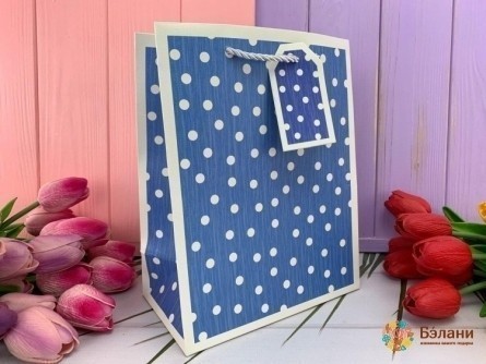 Geantă Cadou „Frumusețe Puncte” Albastru M