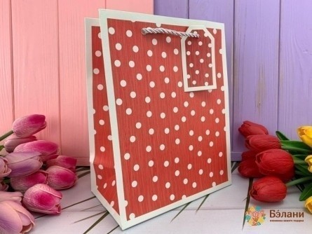 Geantă Cadou „Frumusețe Puncte” Roșu M