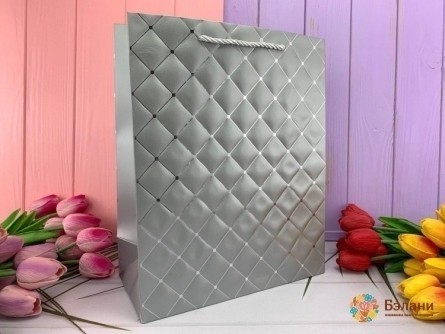 Geantă Cadou "style" Argint L