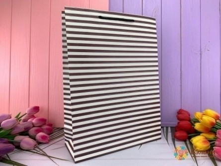 Pachet Cadou "linii Simple" Bordeaux M