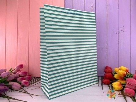 Geantă Cadou "linii Simple" Albastru L