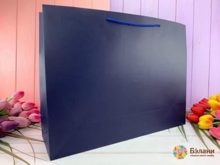 Geantă Cadou "monochrome" Albastru Xl