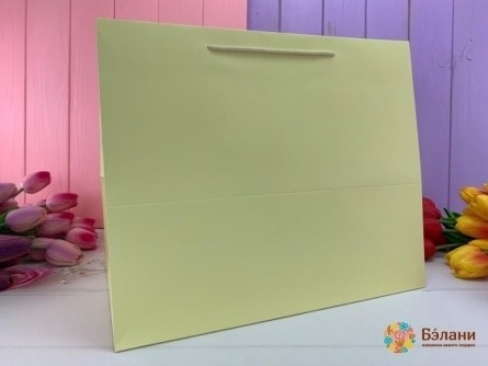 Geantă Cadou „Mono” Bej Xl