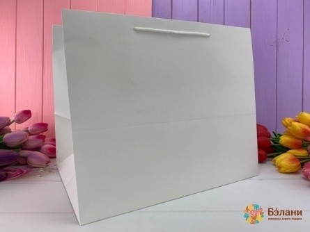 Geantă Cadou "mono" Alb Xl