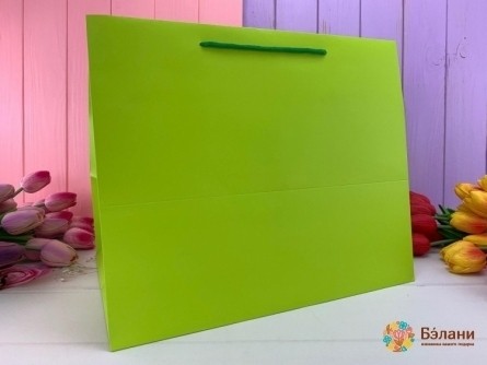 Geantă Cadou „Mono” Verde Verde Xl