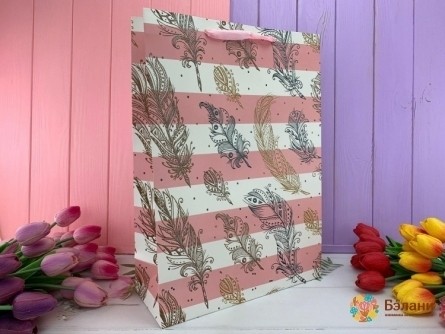 Pachet Cadou "pene" Dungi Roz S