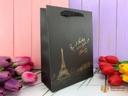 Geantă Cadou "paris" Negru M