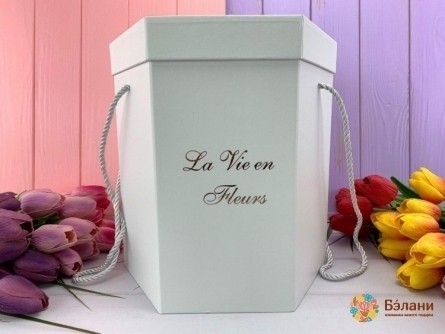 Caseta "la Vien" Alb