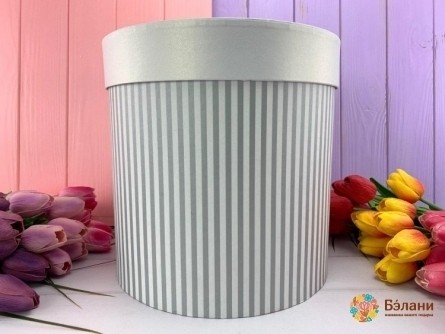 Cutie Rotundă "linii De Culoare" Gri L