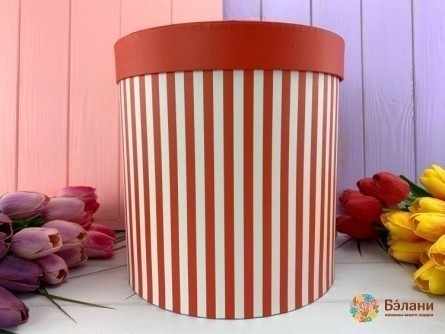 Cutie Rotundă "linii De Culoare" Roșu L