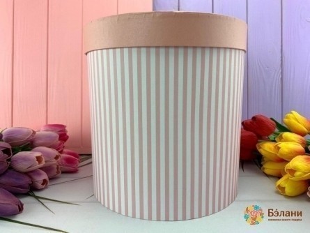 Cutie Rotundă "linii De Culoare" Roz L