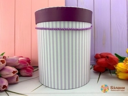 Cutie Rotundă „Dungi” Lila