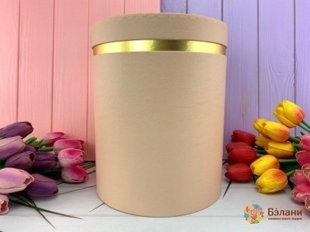 Cutie Rotundă Strânsă „Edging De Aur” Roz