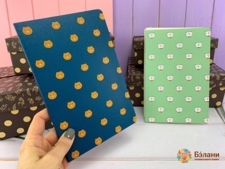 Notebook "faces" A5 (32 Coli) Mix