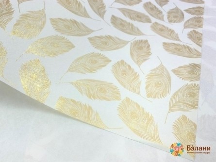 Hârtie De Ambalare # 18