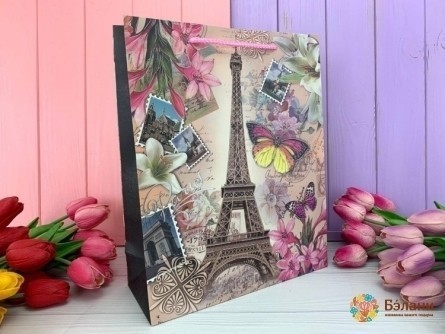 Geantă Cadou "oraș" Paris L