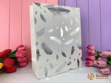 Geantă Cadou „Bright Feather” Din Argint M