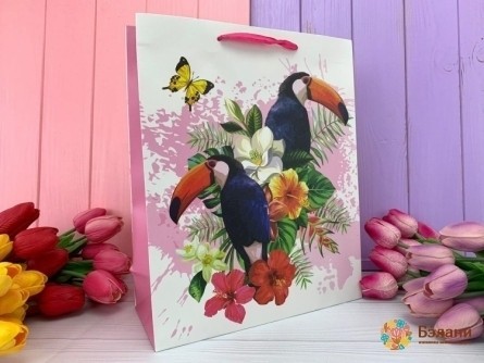 Pachet Cadou "toucans" Zmeură M