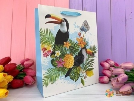 Pachet Cadou "toucans" Albastru L