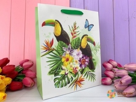 Pachet Cadou "toucans" Verde L