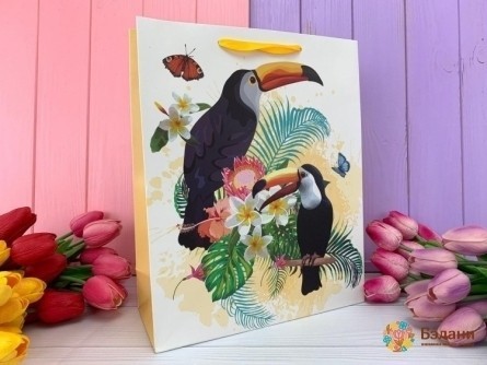 Pachet Cadou Portocale "toucans" L