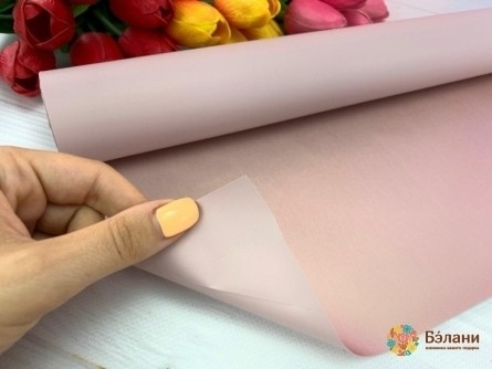 Urmărirea Hârtiei „Maica Perlei” # 168