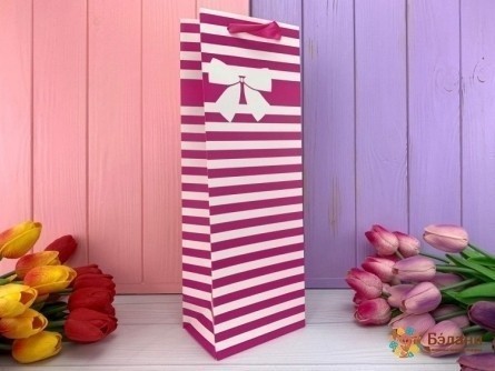 Bag Sub Zmeura „Lines”