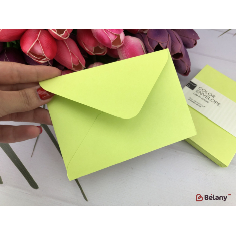 Plic De Var "o Culoare"