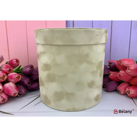 Cutiuta Rotunda Din Catifea „Catifea” Bej