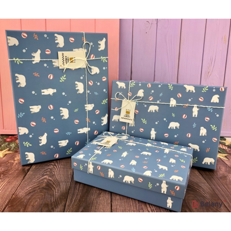 Cutie Cadou "urs Alb" Albastru