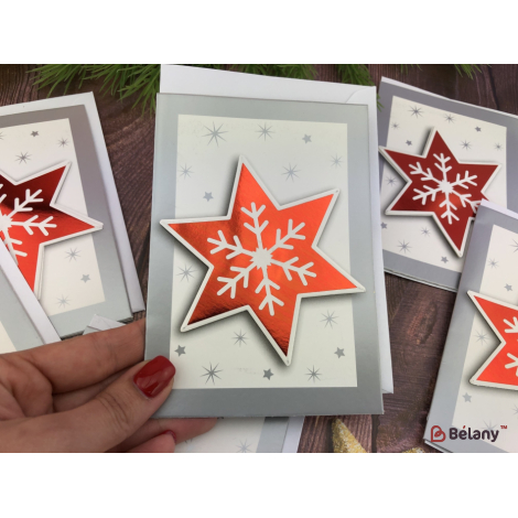 Cărțile De Anul Nou Se Amestecă „Redy Shiny”