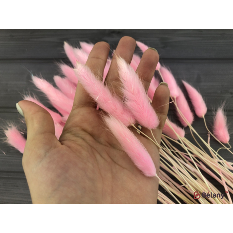 Flori Uscate "lagurus" Roz