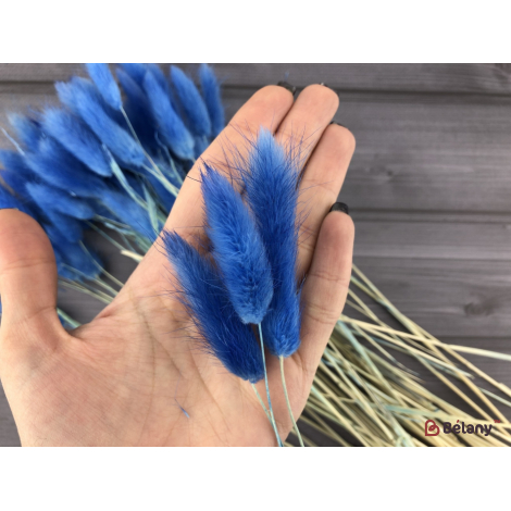 Flori Uscate "lagurus" Albastru