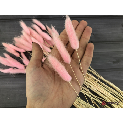 Flori Uscate "ramuri De Lagurus" # 9