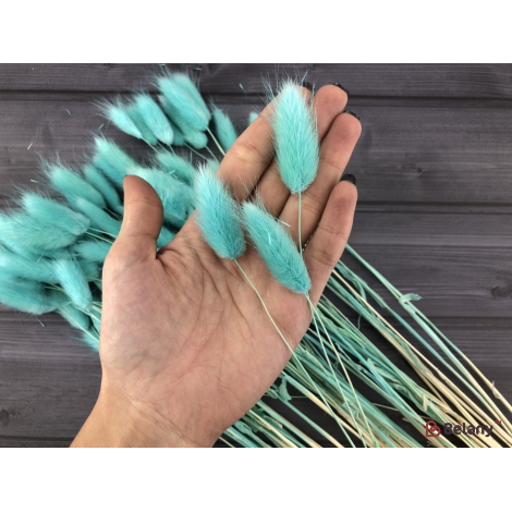 Flori Uscate "ramuri De Lagurus" # 8