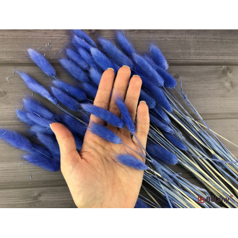 Flori Uscate "ramuri De Lagurus" # 2