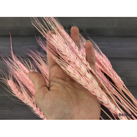 Flori Uscate "grâu" Roz