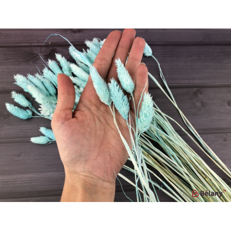 Flori Uscate "fallaris" Albastru