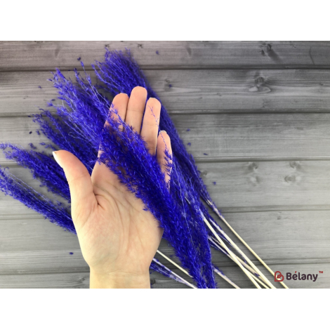 Flori Uscate Liliac „Miscanthus”