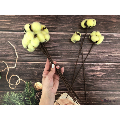 Buchet "bumbac Colorat" Vanilie