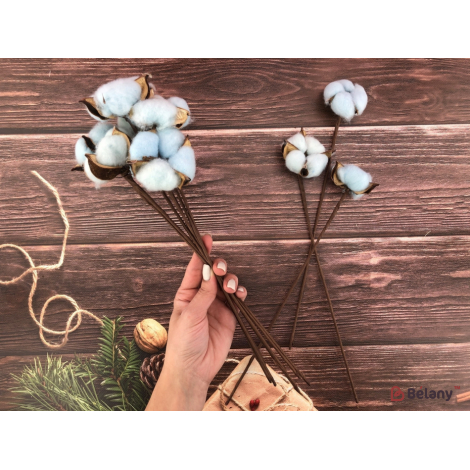 Buchet „Bumbac Colorat” Albastru