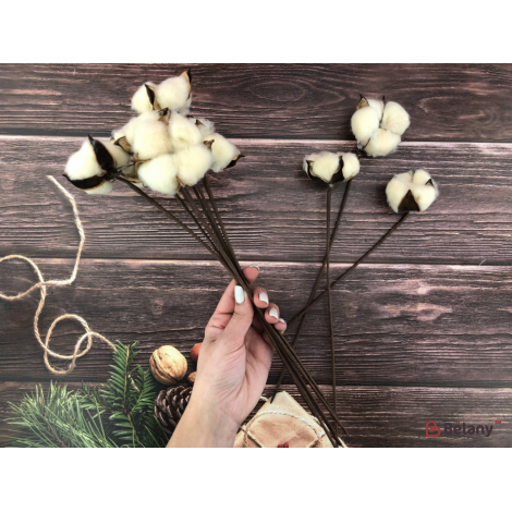 Buchet De Lapte "bumbac Colorat"