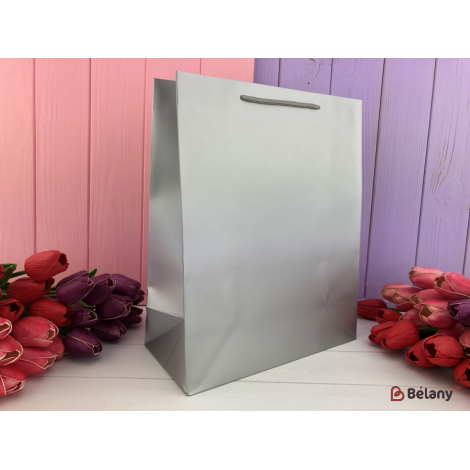 Geantă Cadou "o Culoare" Argint L