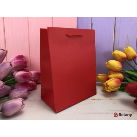 Geantă Cadou "o Culoare" Roșu L