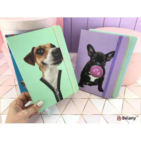 Caiet „Animale Amuzante” (96 Pagini) A5