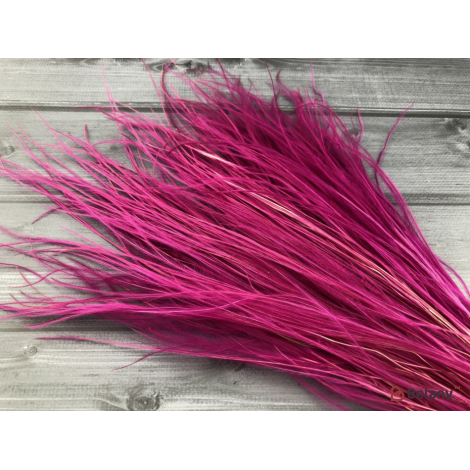 Floare Uscată "stifa" # 1